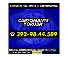 ♛(_¸.•'♥  Cartomante Yoruba'  ♥'•.¸_)♛