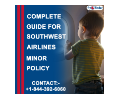 Southwest Airlines Unaccompanied Minor | FlyOfinder