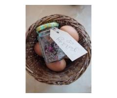 FERTILITY SPELLS BY REAL WITCH - SOWETO, LENASIA, EMMARENTIA
