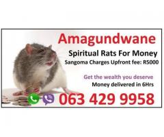 Top money spell Australia | usa | London +27634299958 spiritual rats and amagundane