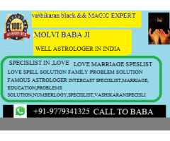ALL LIFE PROBLEM SOLUTION BABA JI +91-9779341325