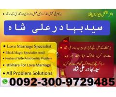 Love Marriage Specialist, Love Marriage, Love Marriage Specialist Astrology