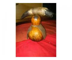 +27810223129  GIFTED TRADITIONAL HEALER IN NEWCASTLE.