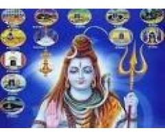 World No.1 Astrologer Pt. R.K.Sharma Ji +91-9878986116