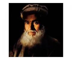 Maulana Mohammad Ali Khan ji +91-9991721550? <~~~>Canada