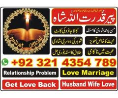 Family issues, Love marriage Specialist