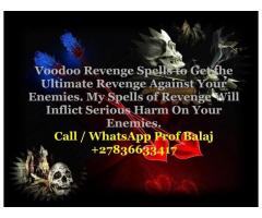 Powerful Revenge Spells - How to Destroy Enemy With Black Magic Call +27836633417