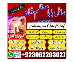 Pakistan No 1 Amil Baba ,Astrologer ,Black Magic  +92-306-2203027