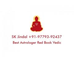 Best Online Astrologer in Panipat+91-9779392437