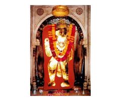 World No.1 Indian Astrologer Pt.Sahil Sharma Ji +91-9056562757