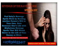 Revenge Spells to Inflict Serious Harm on Your Enemies Call +27836633417